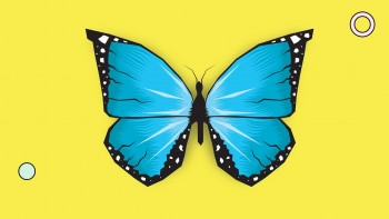 blue butterfly